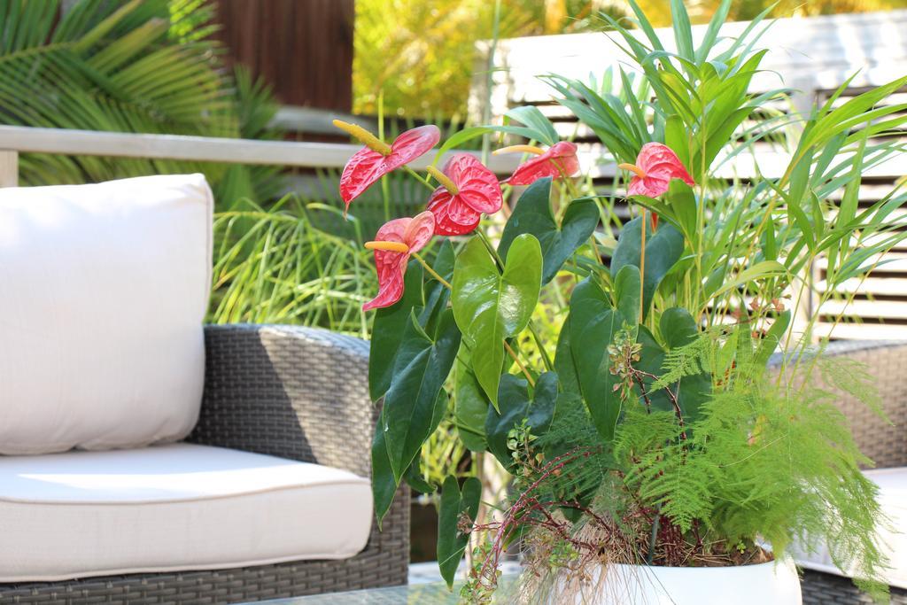 Margayillat Apartment Manapany-les Bains Exterior photo